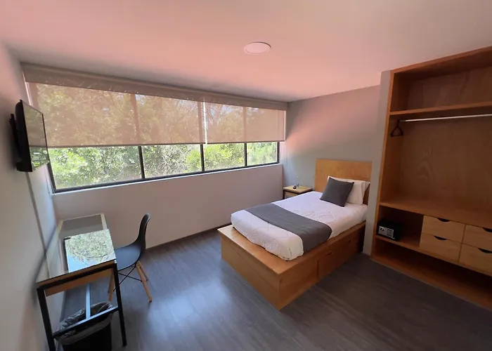 Bonsai Aguilas Homestay Mexico City